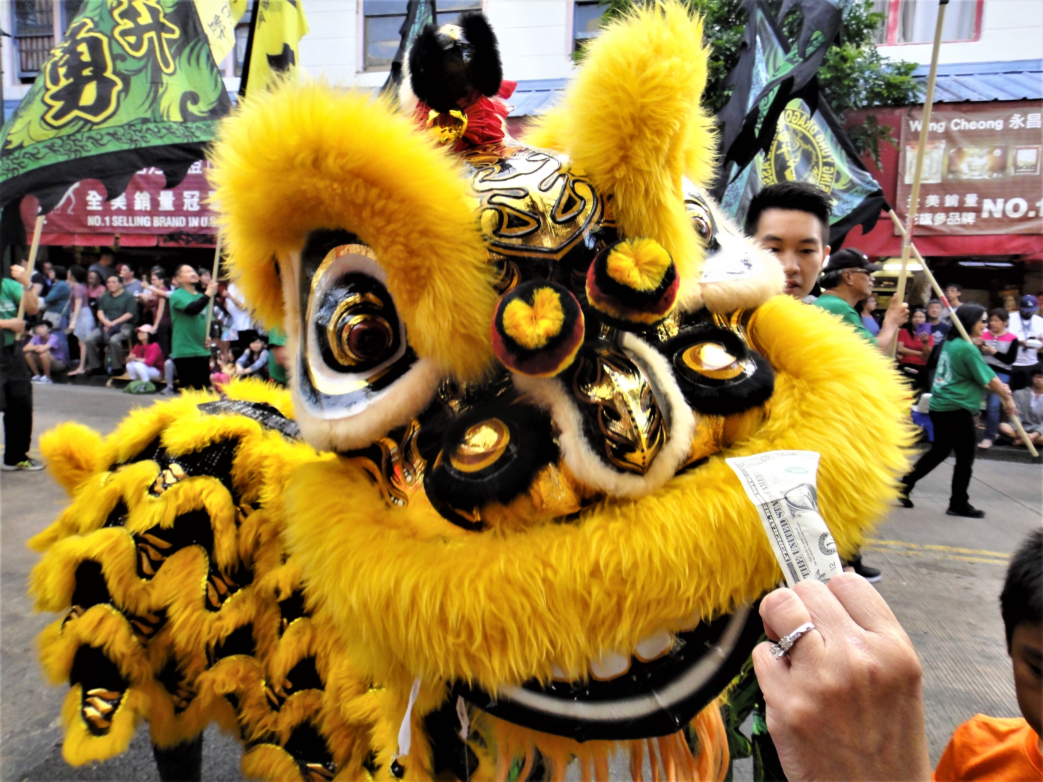 Honolulu's Chinese New Year Parade Passport Diaries